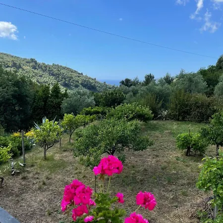 Casa Uliveto Semesterbostad Diano San Pietro
