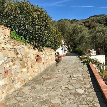 Casa Uliveto Holiday home