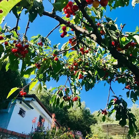 Casa Uliveto Semesterbostad *