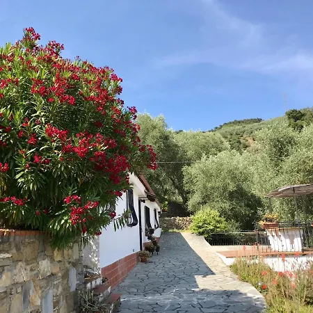Casa Uliveto *