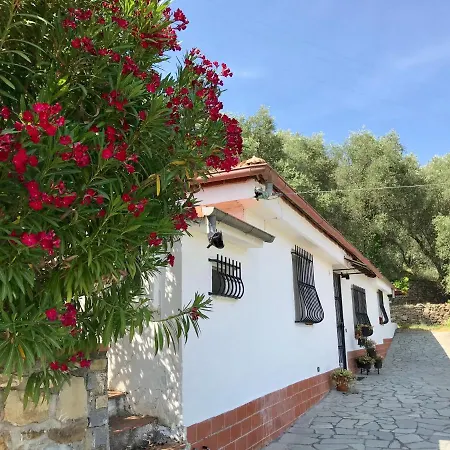 Casa Uliveto Diano San Pietro