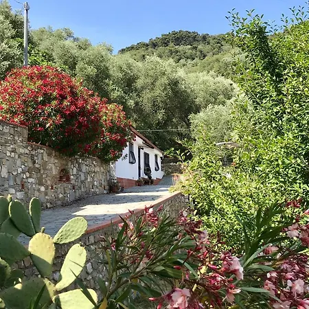 Semesterbostad Casa Uliveto Diano San Pietro
