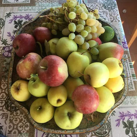 Casa Uliveto Vakantiehuis *