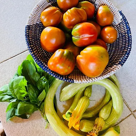 Casa Uliveto 度假居 Diano San Pietro