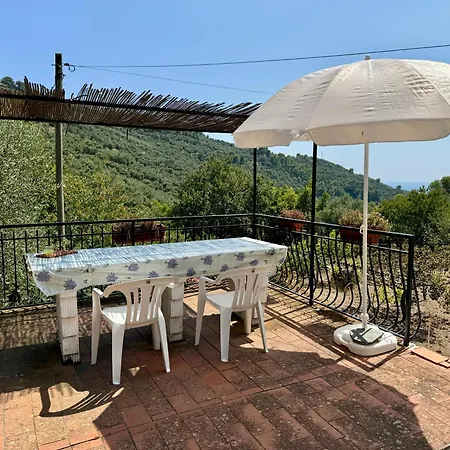 Vakantiehuis Casa Uliveto *