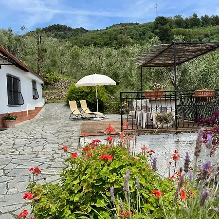 Casa Uliveto Holiday home