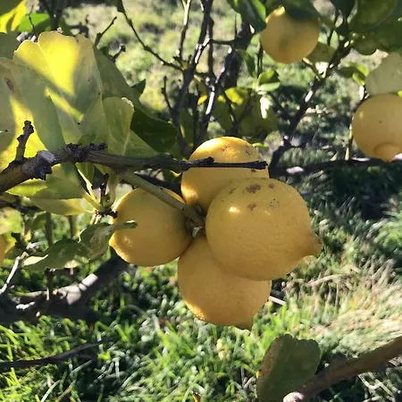 Casa Uliveto 度假居 Diano San Pietro