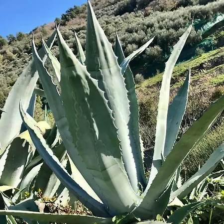 度假居 Casa Uliveto