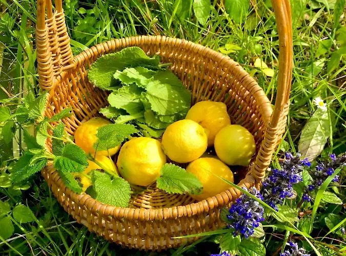 Сasa de vacaciones Casa Uliveto