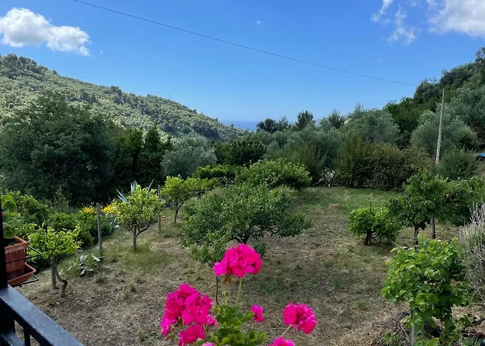 Casa Uliveto Semesterbostad Diano San Pietro