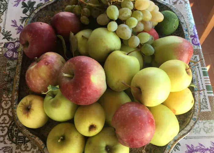 Casa Uliveto Сasa de vacaciones *