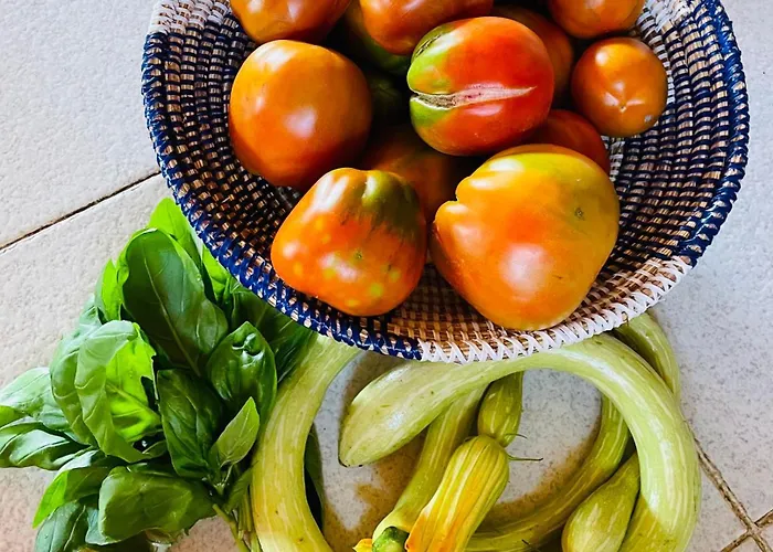 Casa Uliveto Сasa de vacaciones Diano San Pietro