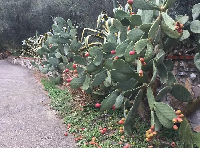 Casa Uliveto Diano San Pietro