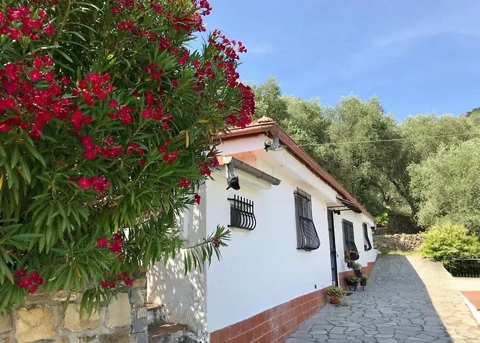 Casa Uliveto Diano San Pietro